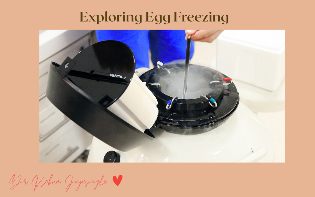 Fresh or Frozen Embryo Transfer: Is One Really Better?