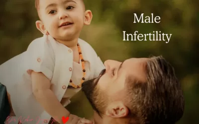 Male fertility